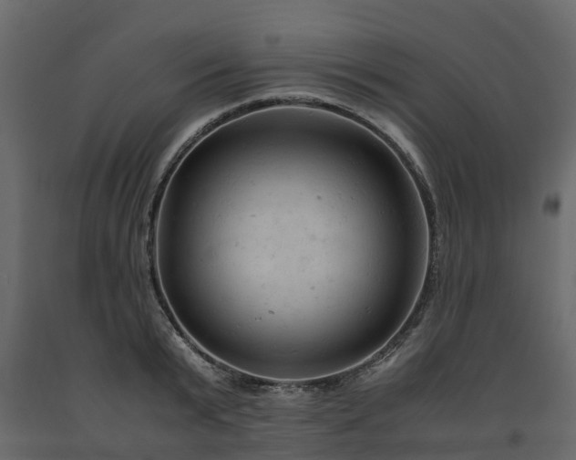 X0000091650799200708231220