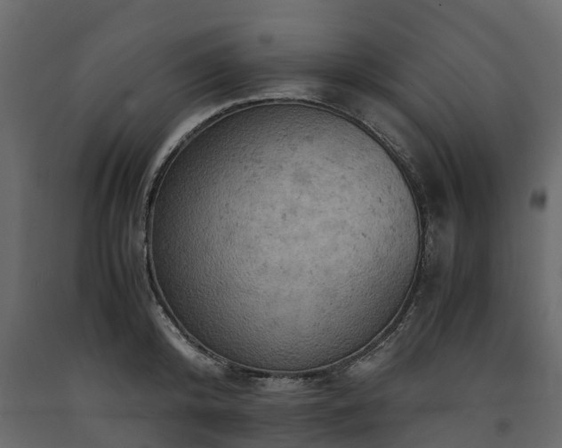 X0000091650800200708231220