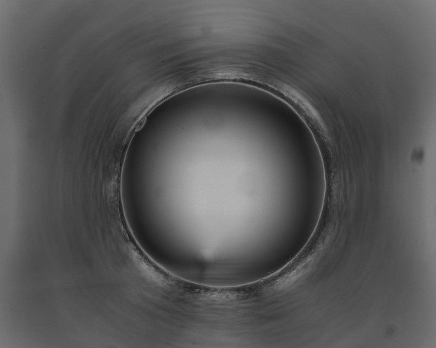 X0000091650801200708231220