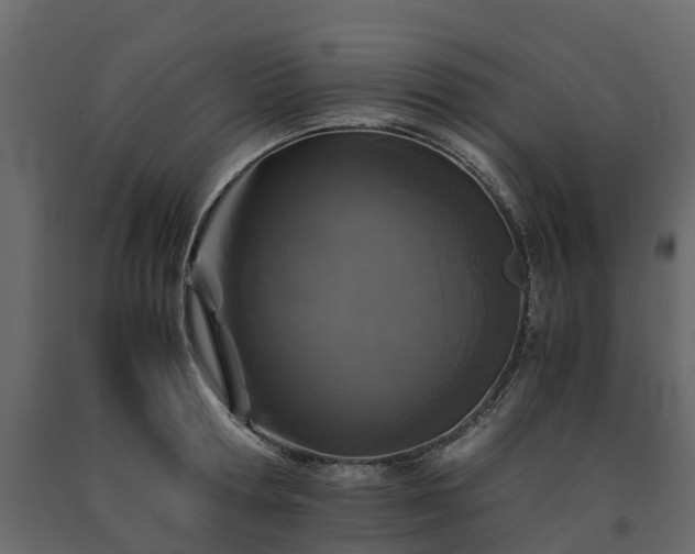 X0000091650802200708231220