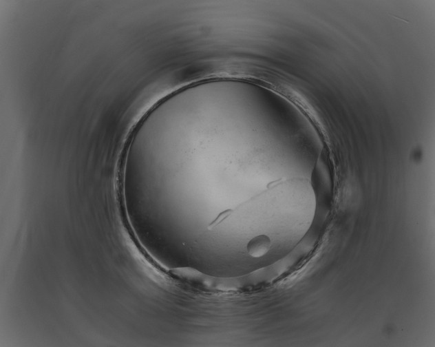 X0000091650803200708231220