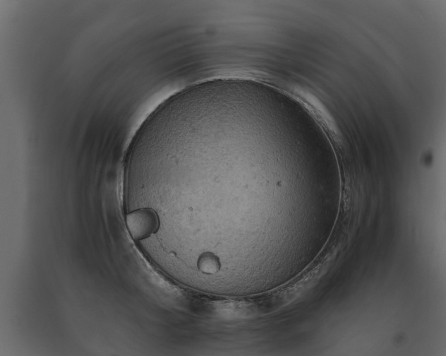 X0000091650804200708231220