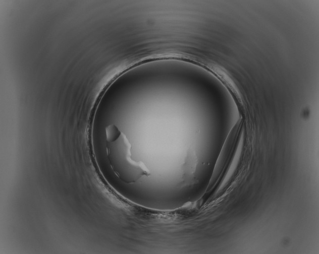 X0000091650805200708231220