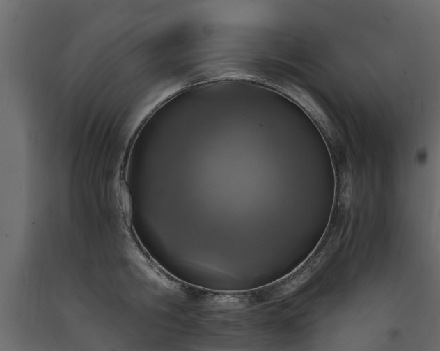 X0000091650806200708231220