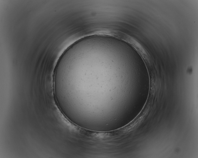 X0000091650808200708231220