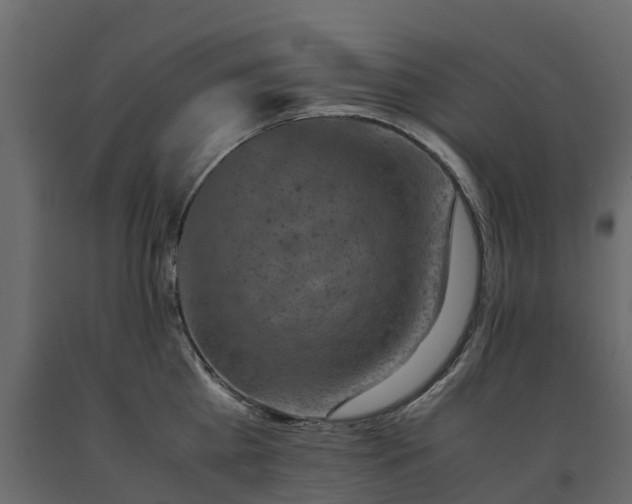 X0000091650809200708231220