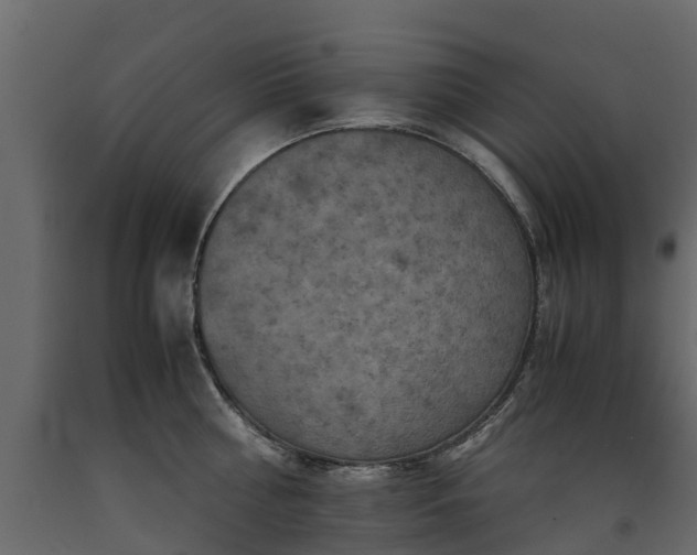 X0000091650810200708231220