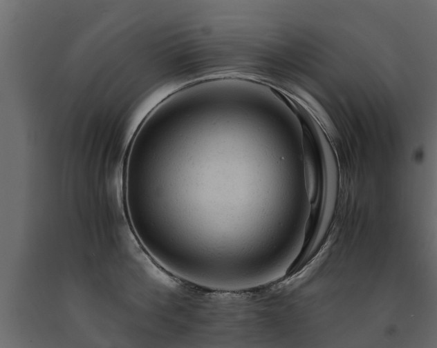 X0000091650812200708231220