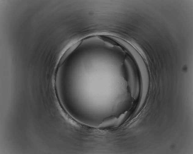 X0000091650813200708231220