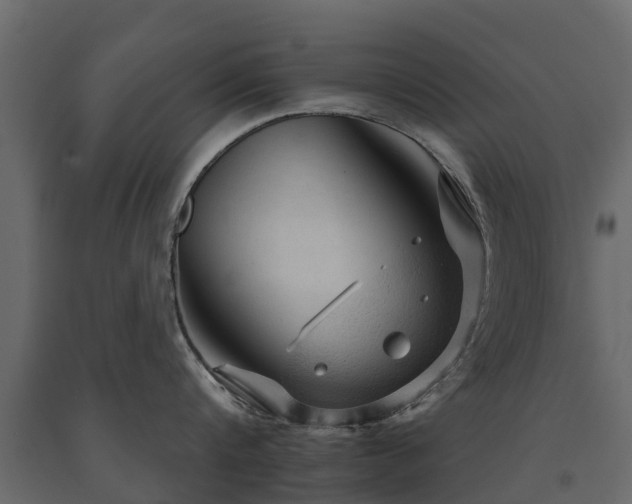 X0000091650816200708231220