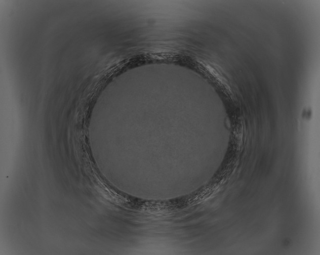 X0000091650817200708231219
