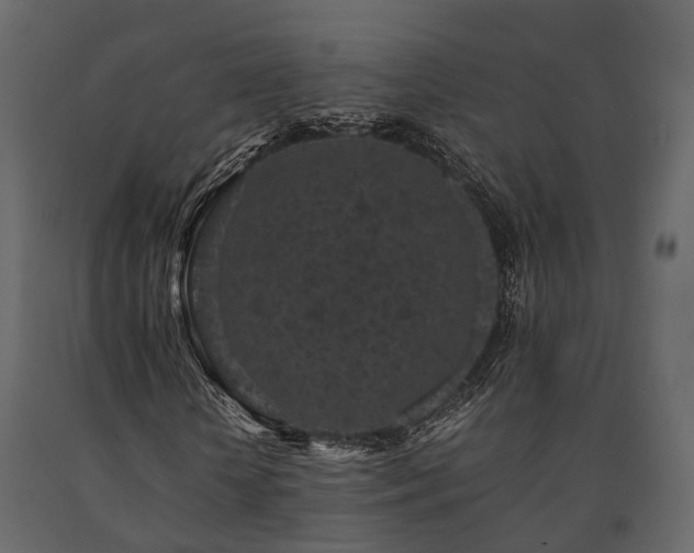 X0000091650818200708231219