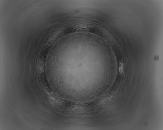 X0000091650819200708231219
