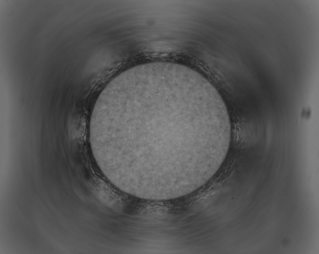 X0000091650820200708231219