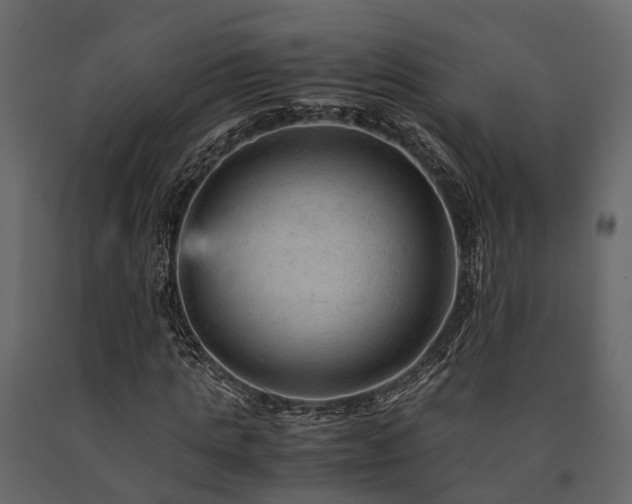 X0000091650821200708231219