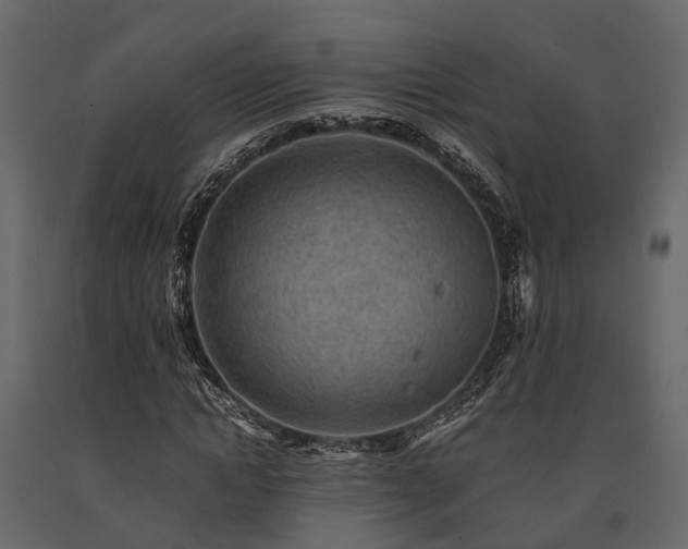 X0000091650822200708231219
