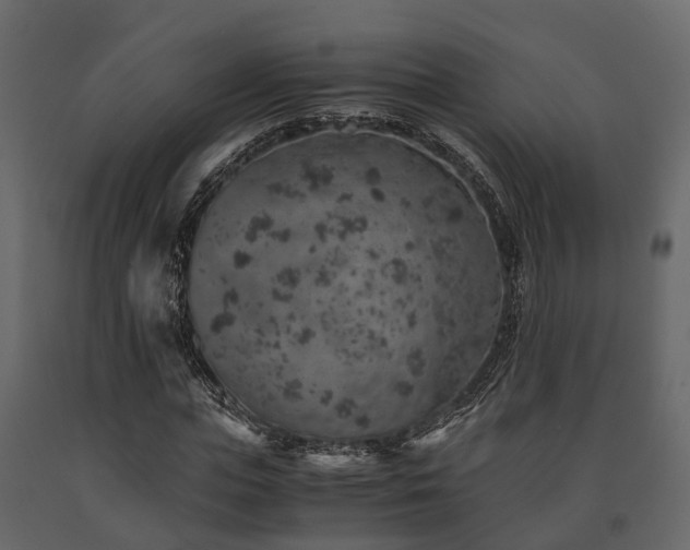 X0000091650823200708231219