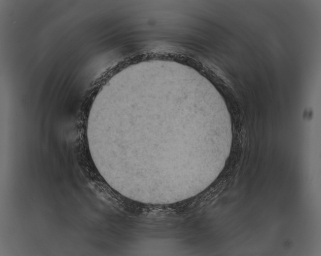X0000091650824200708231219