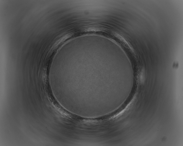 X0000091650825200708231219
