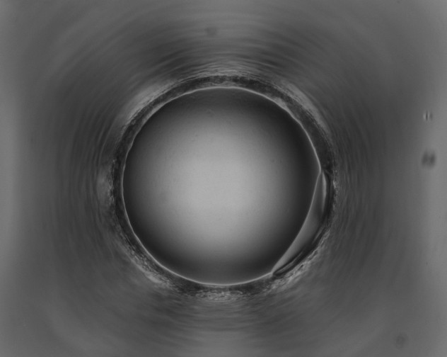 X0000091650826200708231219