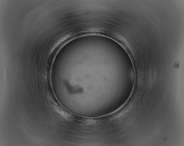 X0000091650827200708231219