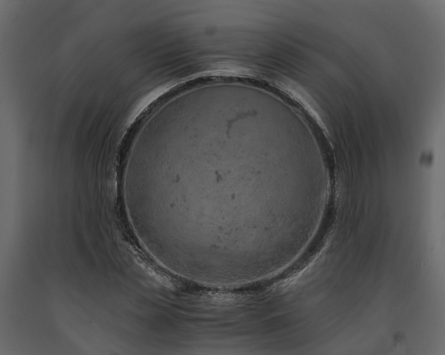 X0000091650829200708231219