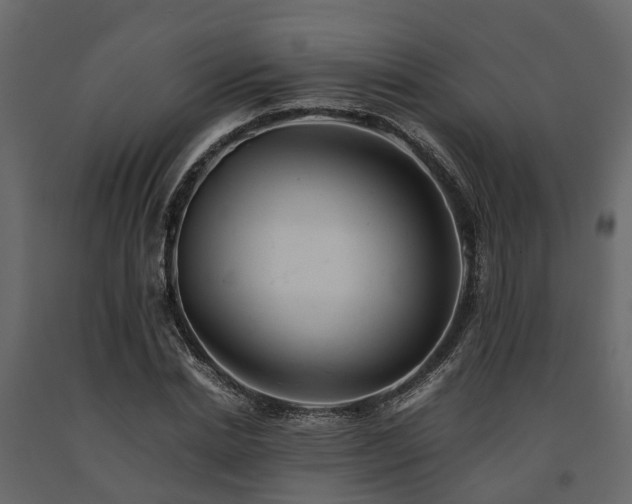 X0000091650830200708231219