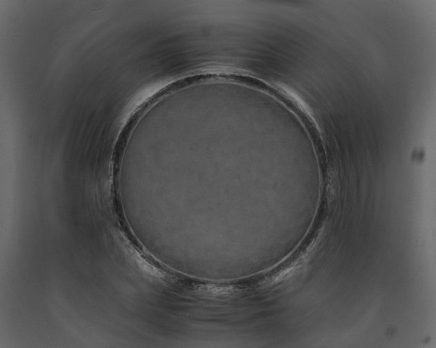 X0000091650831200708231219