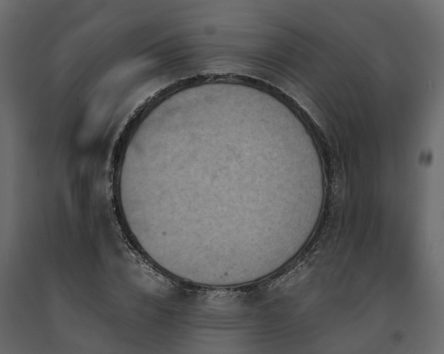 X0000091650832200708231219