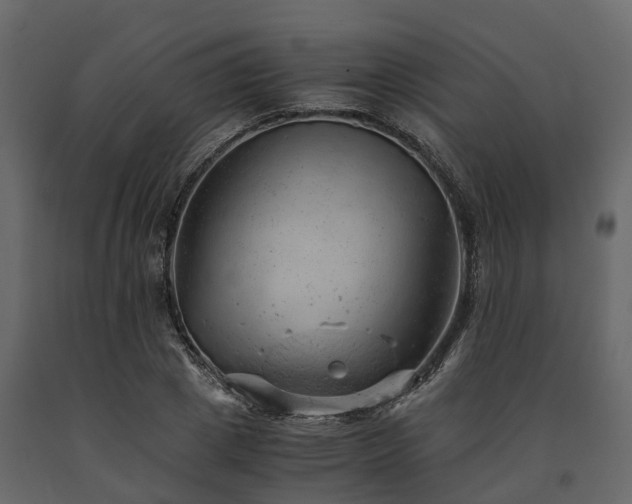 X0000091650833200708231219