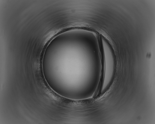 X0000091650834200708231219