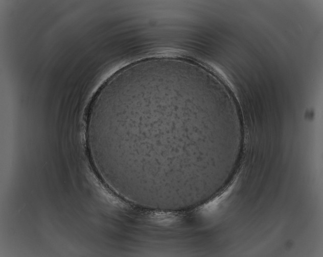 X0000091650835200708231219