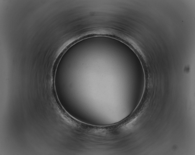 X0000091650837200708231219