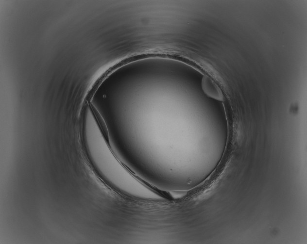 X0000091650838200708231219