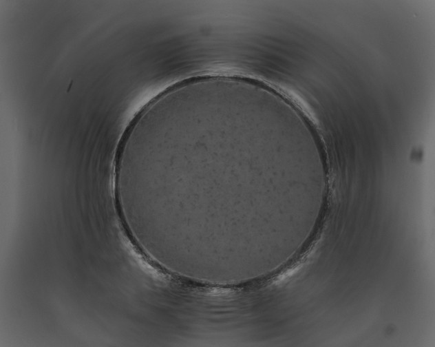X0000091650839200708231219