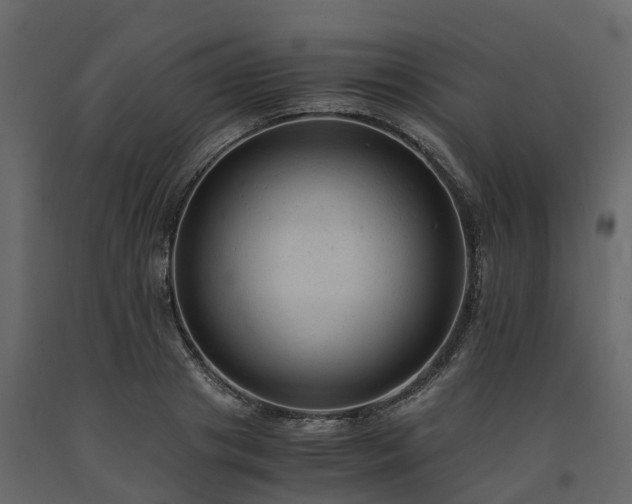 X0000091650841200708231219