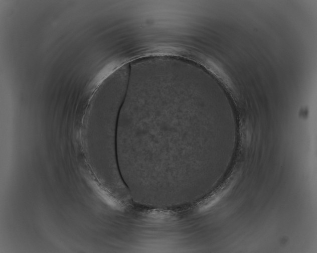 X0000091650842200708231219