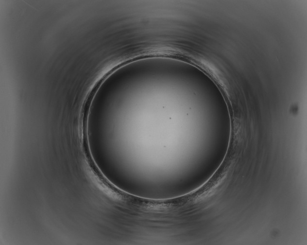 X0000091650843200708231219