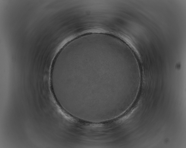 X0000091650845200708231219