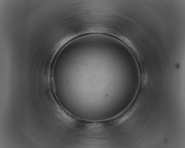 X0000091650846200708231219