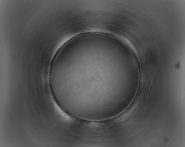 X0000091650847200708231219
