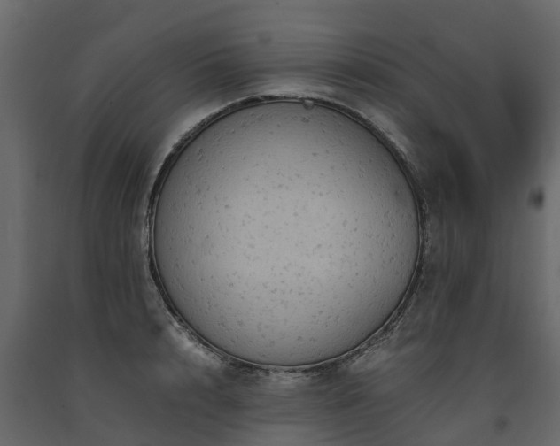 X0000091650848200708231219