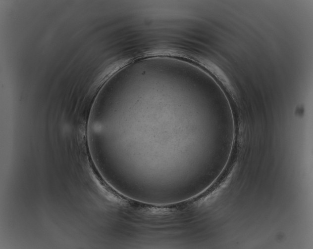X0000091650849200708231219