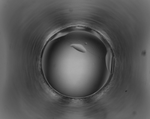 X0000091650850200708231219