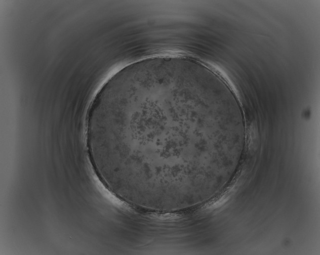 X0000091650851200708231219