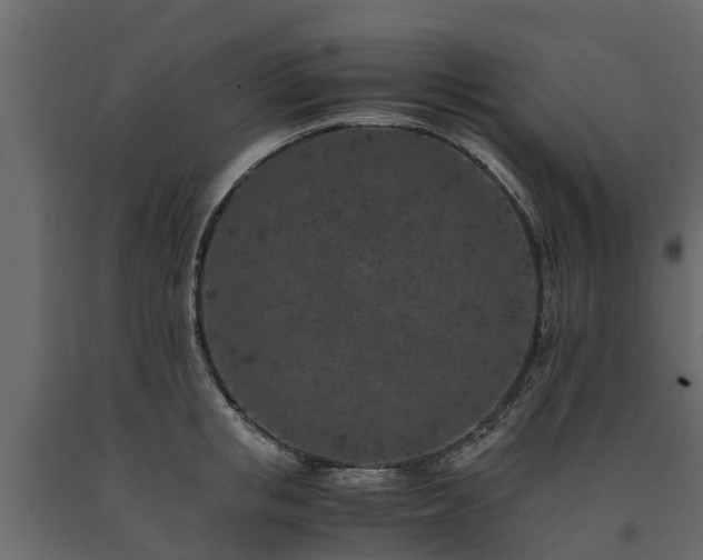 X0000091650853200708231220