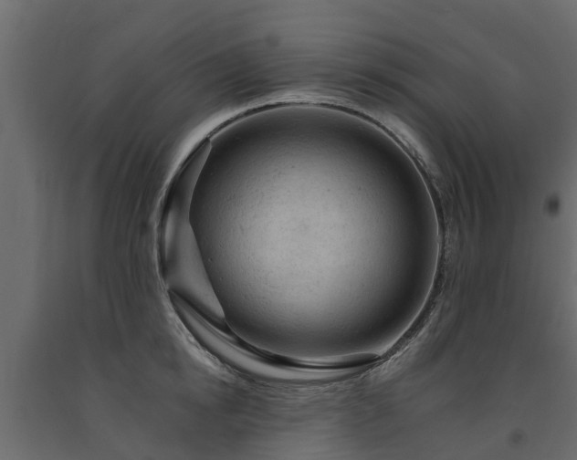 X0000091650854200708231220