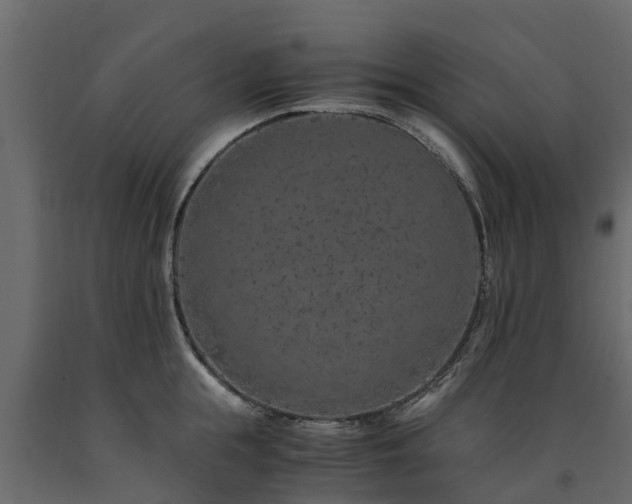 X0000091650855200708231220