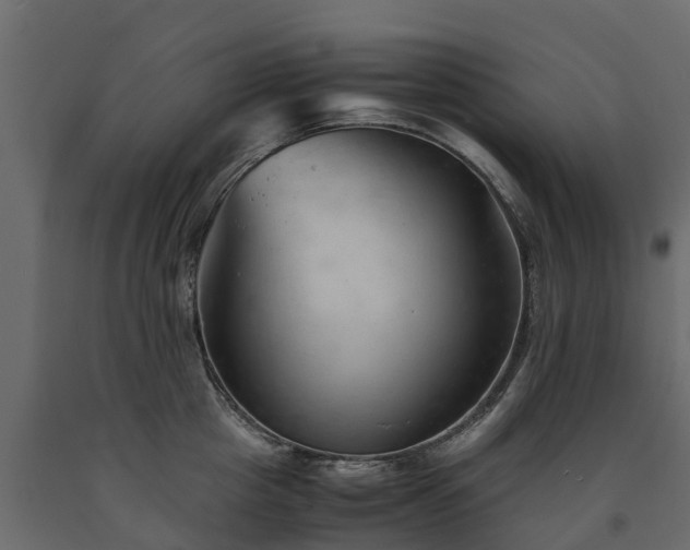 X0000091650857200708231220