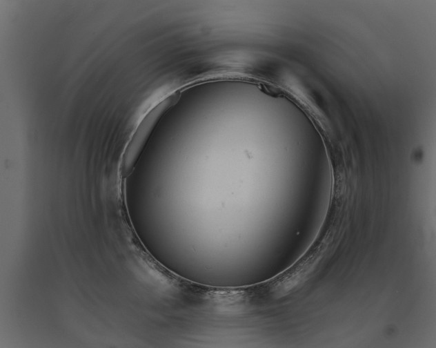 X0000091650858200708231220